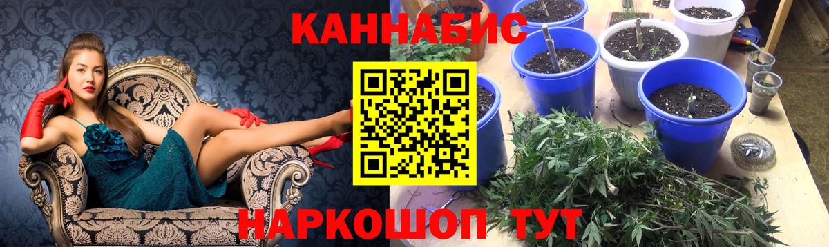 Конопля Amnesia  Вход с VPN  Марихуана Amnesia  Марихуана индика  Бузулук 